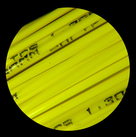 Tenis struna Polyfibre TCS - kolut