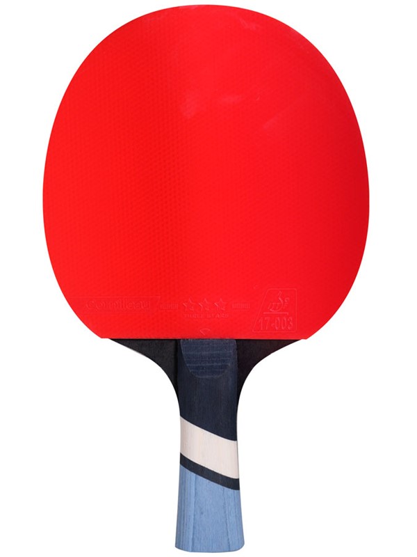 Table tennis racket Cornilleau Perform 500 ***